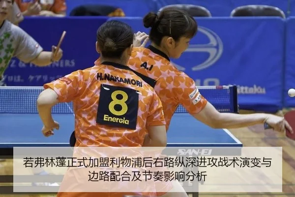 ruo-fu-lin-peng-zheng-shi-jia-meng-li-wu-pu-hou-you-lu-zong-shen-jin-gong-zhan-shu-yan-bian-yu-bian-lu-pei-he-ji-jie-1-788.jpg